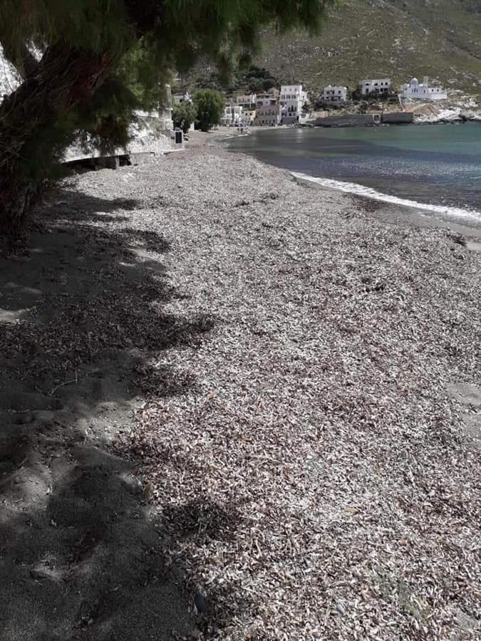 Kalymnos Beach House Panormos  المظهر الخارجي الصورة